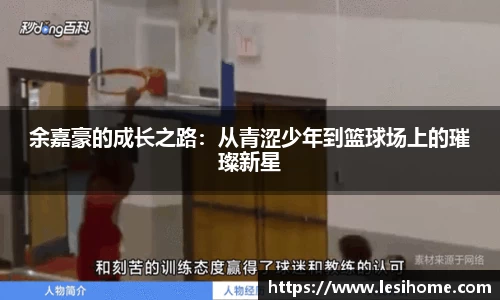 NG体育官方网站