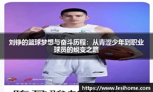 NG体育官方网站
