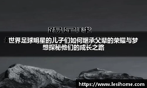 NG体育官方网站