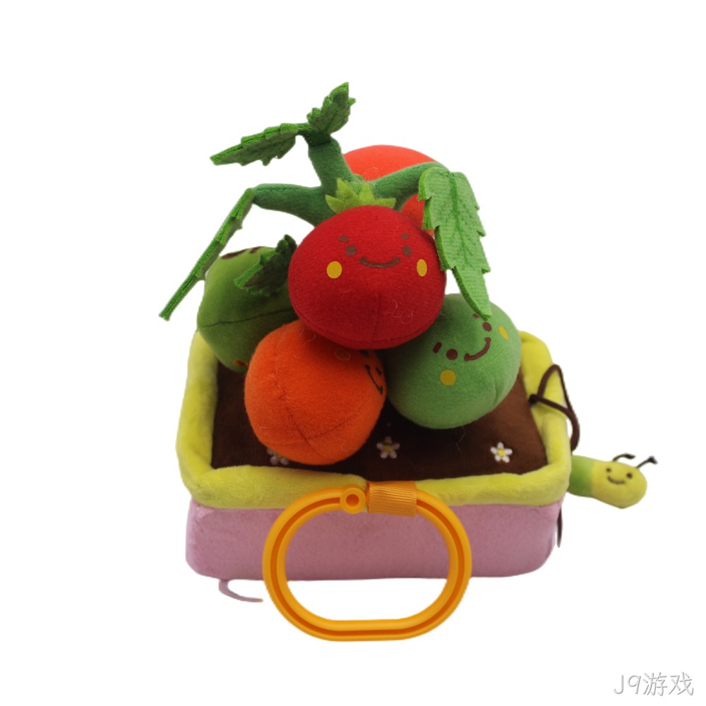 番茄盆栽