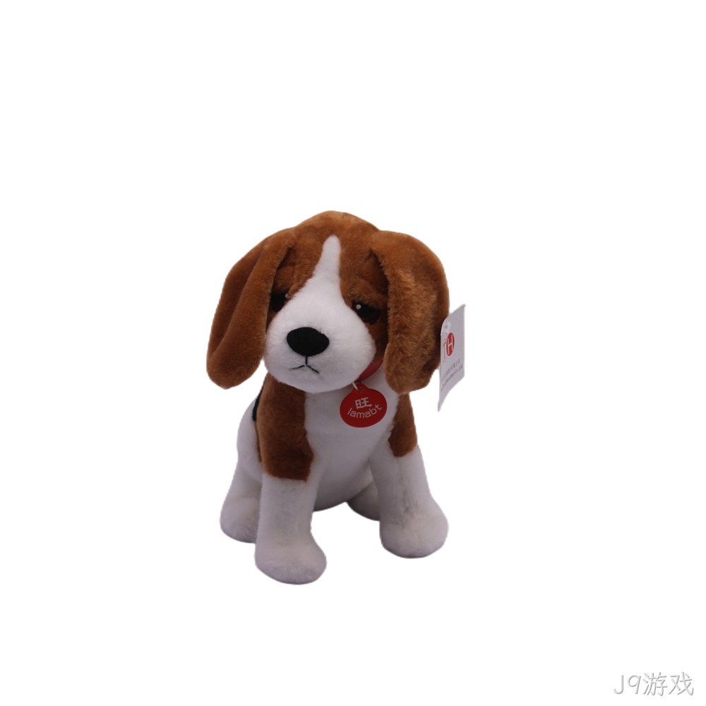 比格猎犬
